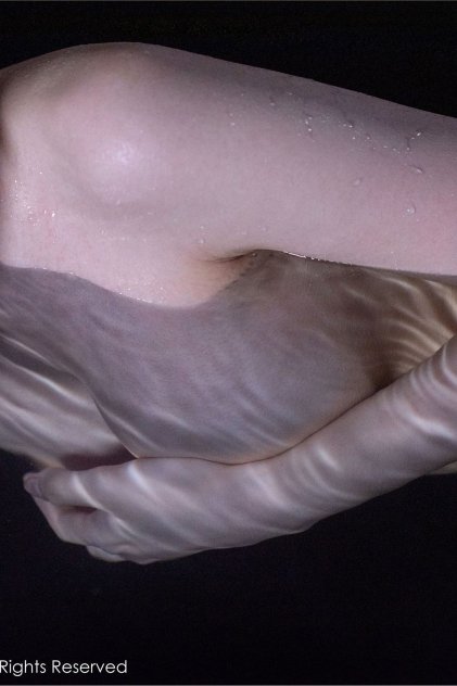 黄色网站青青操