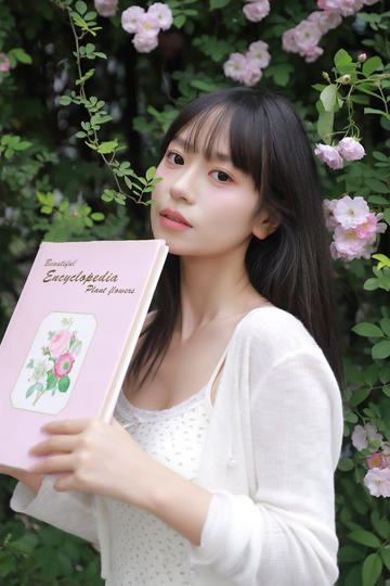 国产日韩欧美在线观看不卡